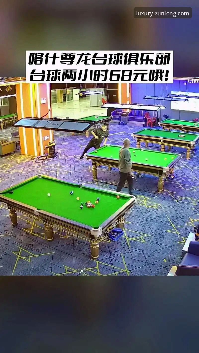 尊龙体育平台VIP体系全面评测：从入门到高阶的体验报告